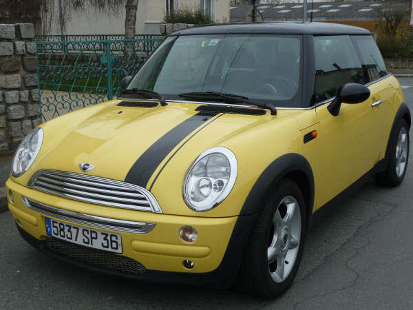 Mini 3.JPG